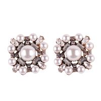 Resin Drop Earrings Creative Jewelry Accessories Alloy Diamond Earrings sku image 19