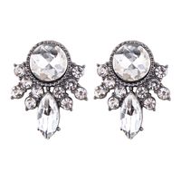 Resin Drop Earrings Creative Jewelry Accessories Alloy Diamond Earrings sku image 7