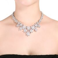 Fashion Zircon  Necklace(necklace-18e01)  Nhtm0118-necklace-18e01 main image 1