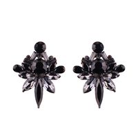 Occident And The United States Alloy Inlaid Imitated Crystal Earring (champagne)  Nhjq7801 main image 1