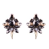 Occident And The United States Alloy Inlaid Imitated Crystal Earring (champagne)  Nhjq7801 main image 3