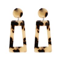 European And American New Cellulose Acetate Sheet Earrings Fashion Exaggerating Earrings Geometric Long Strip Square More Than Color Earrings Cross-border main image 4