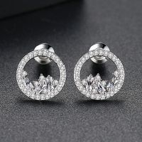 Alloy Fashion Geometric Earring  (platinum-t01h13) Nhtm0432-platinum-t01h13 main image 1