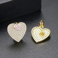 Alloy Fashion Sweetheart Earring  (platinum-t01a23) Nhtm0437-platinum-t01a23 main image 4