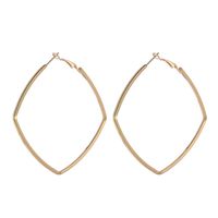 Alloy Fashion Geometric Earring  (de0125-17.5cm) Nhsd0429-de0125-17.5cm main image 1