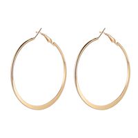 Alloy Fashion Geometric Earring  (de0131-17.5cm) Nhsd0442-de0131-17.5cm main image 4