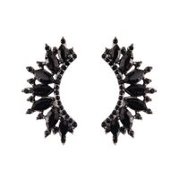 Imitated Crystal&cz Fashion Geometric Earring  (black) Nhjq11074-black main image 1