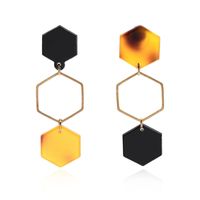 Acrylic Fashion Geometric Earring  (61189448) Nhlp1350-61189448 main image 2