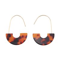 Plastic Fashion Geometric Earring  (lava Color) Nhjq10999-lava-color main image 2