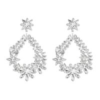 Imitated Crystal&cz Fashion Flowers Earring  (alloy) Nhhs0637-alloy sku image 1