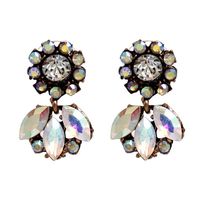 Plastic Fashion Flowers Earring  (photo Color) Nhjj4587-photo Color main image 2