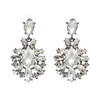 Alloy Fashion Animal Earring  (white) Nhjj4376-white main image 1