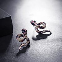 Mode Serpent En Forme De Longue Frange Boucles D'oreilles Esprit Serpent Beauté Splendide Européen Et Américain Boucles D'oreilles Deux Couleurs En Option T105757e main image 1