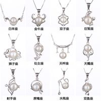 Korea Alloy Beadss Necklace Geometric (cancer)  Nhdy0192-cancer main image 1