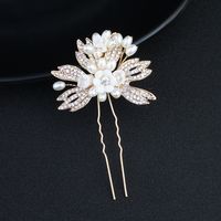 Alloy Fashion Flowers Hair Accessories  (alloy) Nhhs0103-alloy main image 2