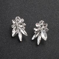 Alloy Fashion Flowers Earring  (alloy) Nhhs0136-alloy main image 3