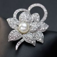 Fashion Leaf Alloy Plating Women's Brooches main image 1