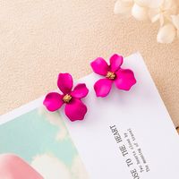 Flower Plating Alloy No Inlaid Earrings main image 4