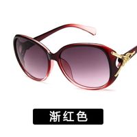 البلاستيك الأزياء نظارات (مشرق أسود) Nhkd0010-bright-black main image 6