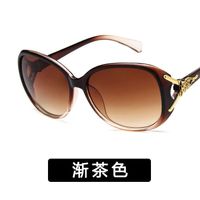 البلاستيك الأزياء نظارات (مشرق أسود) Nhkd0010-bright-black main image 5