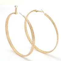 Fashion Geometric Iron No Inlaid Earrings main image 1