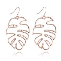 Alloy Simple Geometric Earring  (alloy) Nhgy2417-alloy main image 1