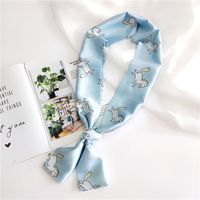 Nouvelle Longue Petit Foulard De Soie Femmes Printemps Et Automne D'été De Double-face Polyvalent Petit Foulard Professionnel Écharpe Écharpe Accessoires main image 18