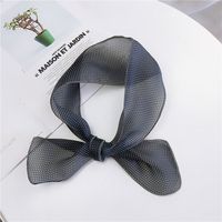 New Small Dot Silk Scarf For Women Spring And Autumn Summer Small Scarf Fashion All-matching Small Silk Scarf Organza Scarf Variety Ribbon main image 7