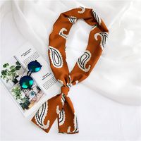 New Korean Style Long Small Silk Scarf Women's Spring And Autumn Summer Double-sided Versatile Small Scarf Professional Scarf Scarf Wholesale main image 9