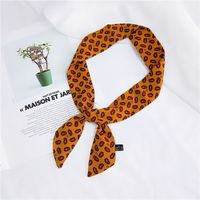 Alloy Korea  Scarf  (1 Leaf Green) Nhmn0112-1-leaf-green main image 19