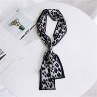 Double-sided Leopard Print Boxer Small Scarf Women's Scarf New Korean Style Spring And Autumn All-match Wrist Strap Ribbon Hair Band Fashion main image 10