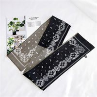 New Korean Style Boxer Small Scarf Silk Scarf Women's Spring And Autumn All-match Ribbon Wrist Strap Ribbon Hair Band Fashion Small Silk Scarf main image 3