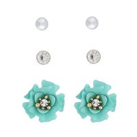 Original Earrings Cross-border New Arrival Korean Style Hot Sale New Products Many-to-one Card Flower Metal Ear Studs Earrings Wholesale main image 6