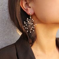 Alloy Fashion Geometric Earring  (one Alloy 1300)  Fashion Jewelry Nhxr2737-one-alloy-1300 main image 1