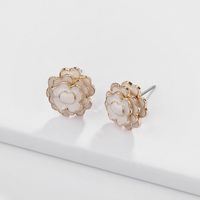 Alloy Fashion Flowers Earring  (white)  Fashion Jewelry Nhlu0606-white main image 2