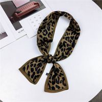 Eine Vielzahl Von Doppelseitigen, Flachen, Langen Schals Und Seiden Schals Mit Leoparden Muster main image 22
