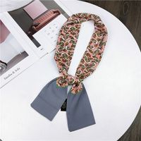 Nouveau Petit Foulard De Soie Femmes De Printemps Et Automne Longue Écharpe Coréenne Mince Étroite Écharpe D'hiver Écharpe Cravate Décoration main image 24