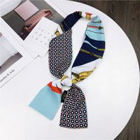 Nouveau Petit Foulard De Soie Femmes De Printemps Et Automne Longue Écharpe Coréenne Mince Étroite Écharpe D'hiver Écharpe Cravate Décoration main image 5