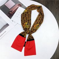 Nouveau Petit Foulard De Soie Femmes De Printemps Et Automne Longue Écharpe Coréenne Mince Étroite Écharpe D'hiver Écharpe Cravate Décoration main image 7