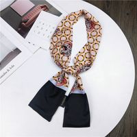 Nouveau Petit Foulard De Soie Femmes De Printemps Et Automne Longue Écharpe Coréenne Mince Étroite Écharpe D'hiver Écharpe Cravate Décoration main image 8