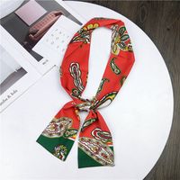 Nouveau Petit Foulard De Soie Femmes De Printemps Et Automne Longue Écharpe Coréenne Mince Étroite Écharpe D'hiver Écharpe Cravate Décoration main image 9