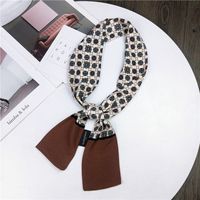 Nouveau Petit Foulard De Soie Femmes De Printemps Et Automne Longue Écharpe Coréenne Mince Étroite Écharpe D'hiver Écharpe Cravate Décoration main image 16