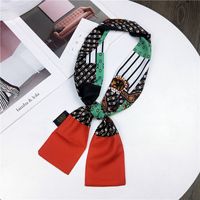 Nouveau Petit Foulard De Soie Femmes De Printemps Et Automne Longue Écharpe Coréenne Mince Étroite Écharpe D'hiver Écharpe Cravate Décoration main image 21