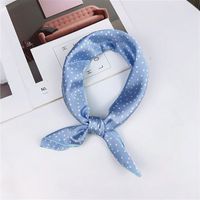 New Spring And Autumn Summer Small Silk Scarf Small Square Towel Women's Korean Professional Variety Decorative Printed Scarf Scarf Wholesale main image 24