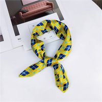 New Spring And Autumn Summer Small Silk Scarf Small Square Towel Women's Korean Professional Variety Decorative Printed Scarf Scarf Wholesale main image 11