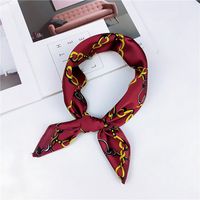 New Spring And Autumn Summer Small Silk Scarf Small Square Towel Women's Korean Professional Variety Decorative Printed Scarf Scarf Wholesale main image 18