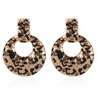 Alloy Simple  Earring  (alloy)  Fashion Jewelry Nhmd5169-alloy main image 2