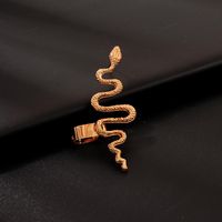 Fashion Metal Snake-shaped Clip Earrings main image 4