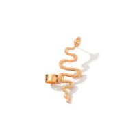 Fashion Metal Snake-shaped Clip Earrings main image 6