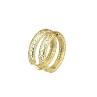 E-commerce Hot Gold-plated Inlaid Zirconium Hollow Earrings Factory Direct Fashion Pop Ring main image 5